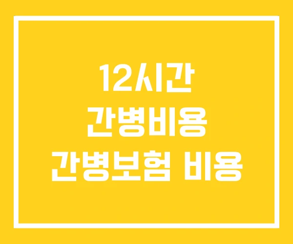 12시간 간병비용 간병보험 비용
