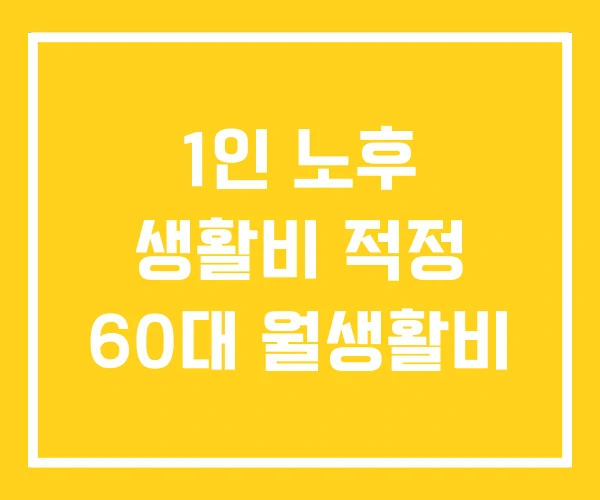 1인 노후 생활비 적정 60대 월생활비