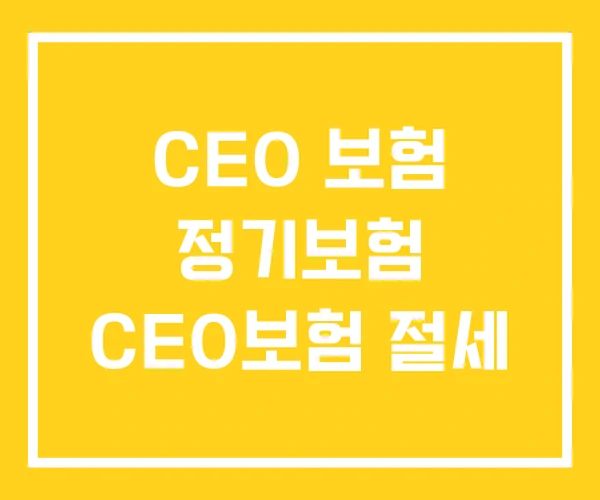 CEO 보험 정기보험 CEO보험 절세