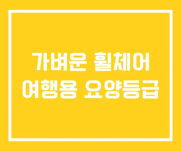 가벼운 휠체어 여행용 요양등급