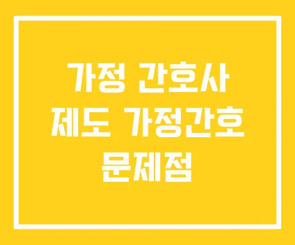 가정 간호사 제도 가정간호 문제점