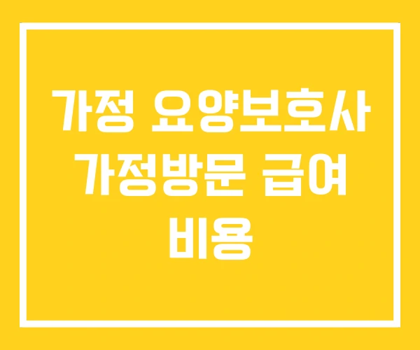 가정 요양보호사 가정방문 급여 비용 가정 요양보호사 가정방문 급여 비용