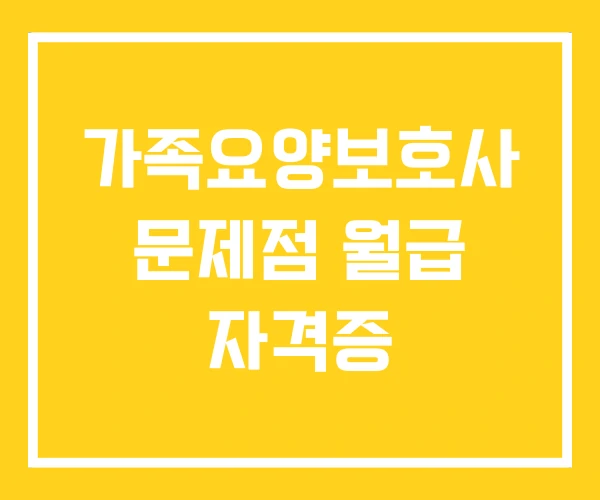 가족요양보호사 문제점 월급 자격증 가족요양보호사 문제점 월급 자격증