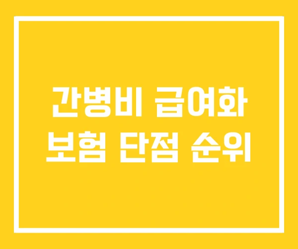 간병비 급여화 보험 단점 순위 간병비 급여화 보험 단점 순위