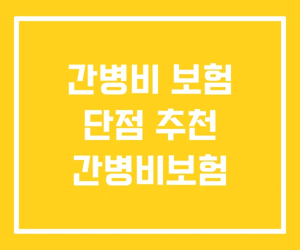 간병비 보험 단점 추천 간병비보험 간병비 보험 단점 추천 간병비보험