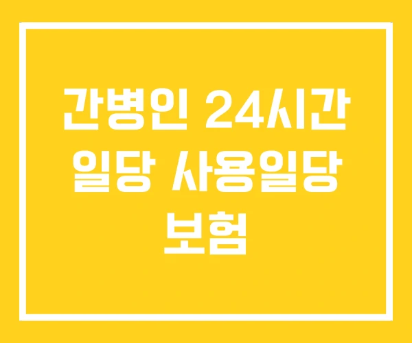 간병인 24시간 일당 사용일당 보험 간병인 24시간 일당 사용일당 보험