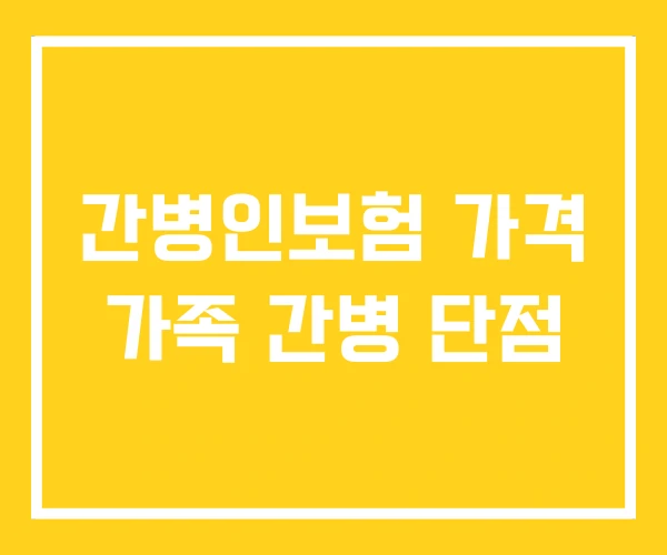 간병인보험 가격 가족 간병 단점 간병인보험 가격 가족 간병 단점