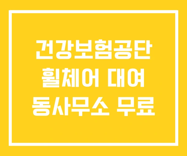 건강보험공단 휠체어 대여 동사무소 무료 건강보험공단 휠체어 대여 동사무소 무료