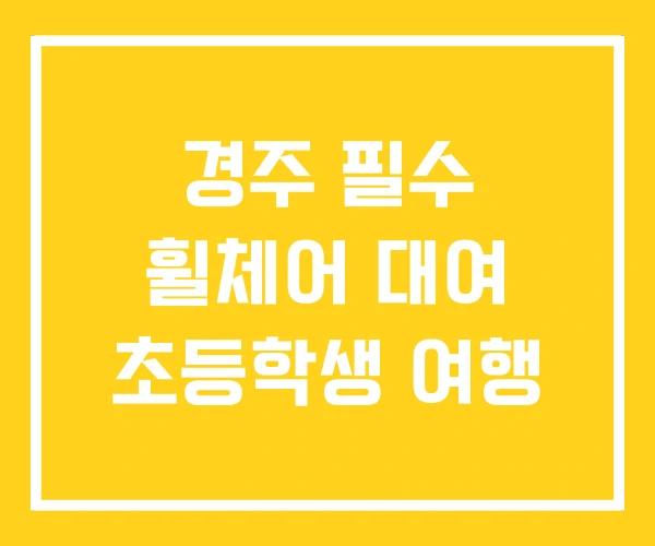 경주 필수 휠체어 대여 초등학생 여행 경주 필수 휠체어 대여 초등학생 여행