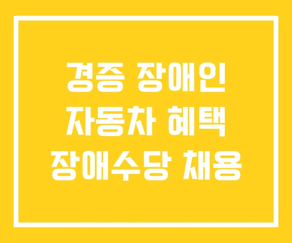 경증 장애인 자동차 혜택 장애수당 채용 경증 장애인 자동차 혜택 장애수당 채용
