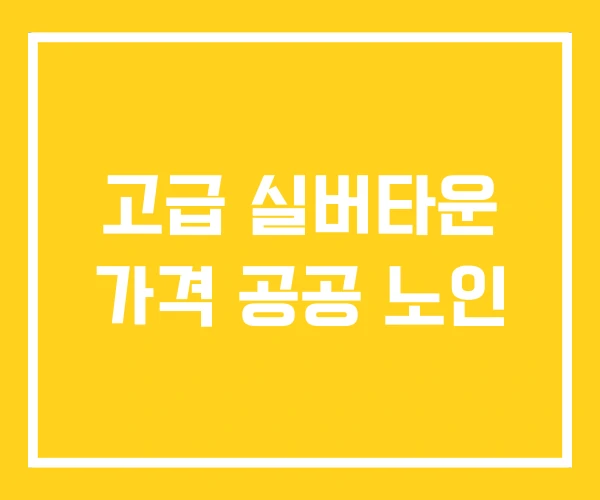 고급 실버타운 가격 공공 노인