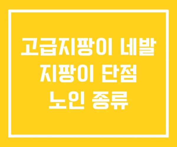 고급지팡이 네발 지팡이 단점 노인 종류 고급지팡이 네발 지팡이 단점 노인 종류