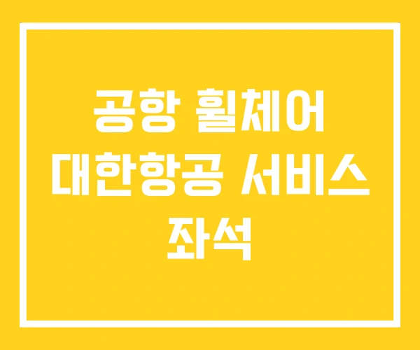 공항 휠체어 대한항공 서비스 좌석
