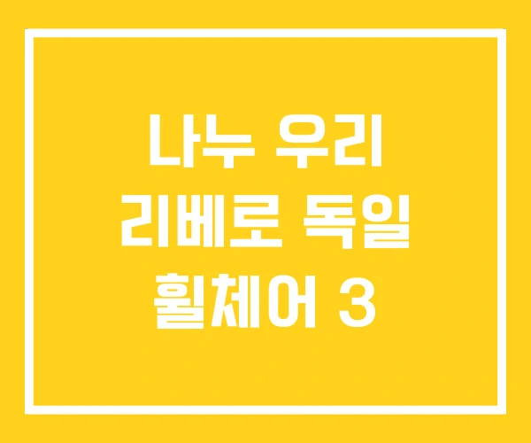 나누 우리 리베로 독일 휠체어 3 나누 우리 리베로 독일 휠체어 3