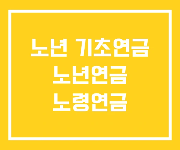 노년 기초연금 노년연금 노령연금 노년 기초연금 노년연금 노령연금