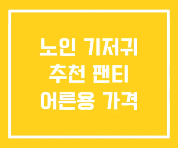 노인 기저귀 추천 팬티 어른용 가격