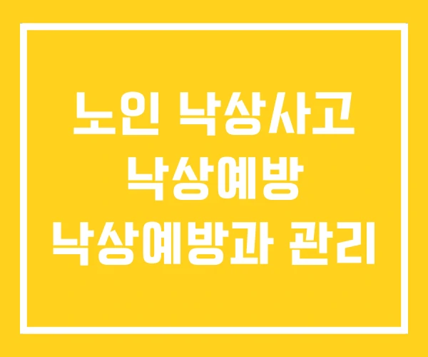 노인 낙상사고 낙상예방 낙상예방과 관리
