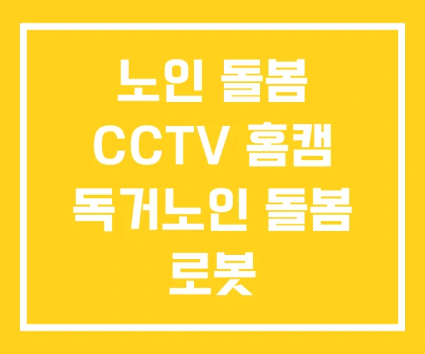 노인 돌봄 CCTV 홈캠 독거노인 돌봄 로봇