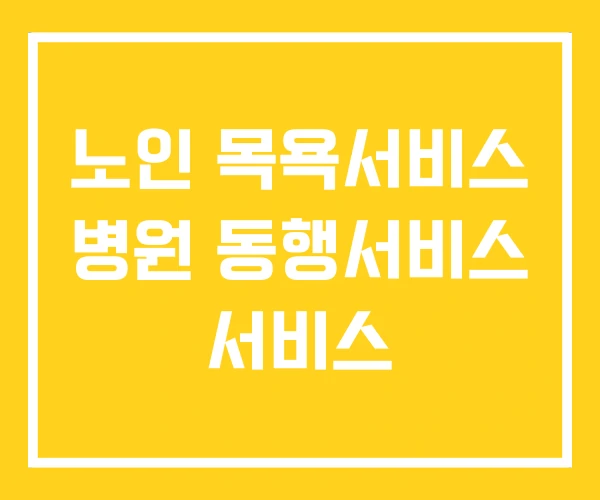 노인 목욕서비스 병원 동행서비스 서비스
