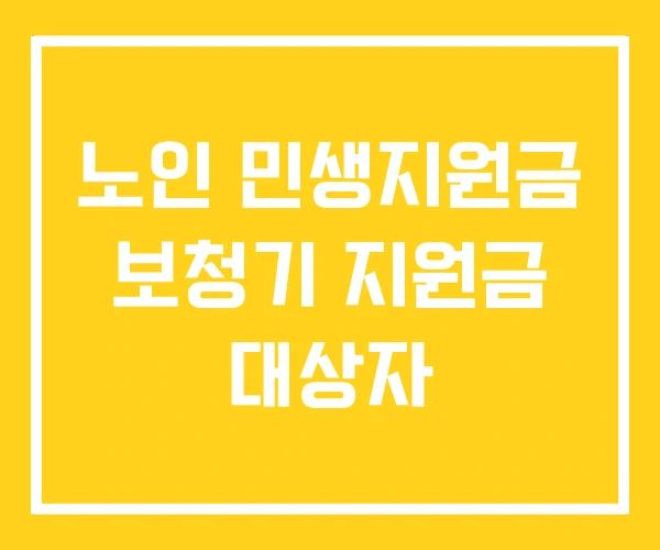 노인 민생지원금 보청기 지원금 대상자 노인 민생지원금 보청기 지원금 대상자