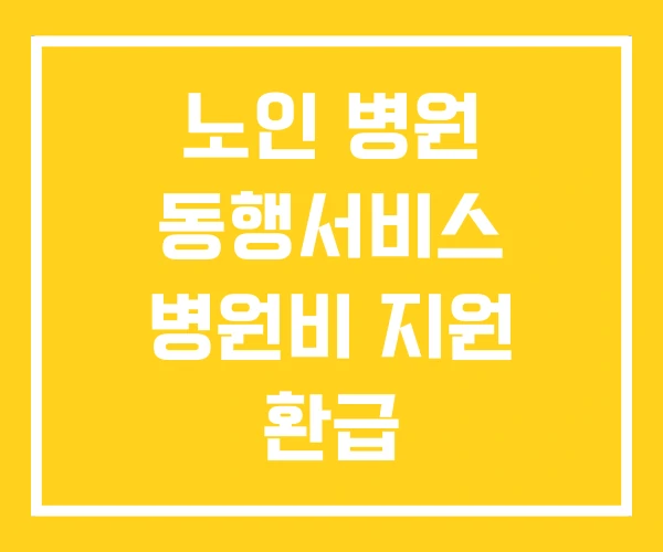 노인 병원 동행서비스 병원비 지원 환급