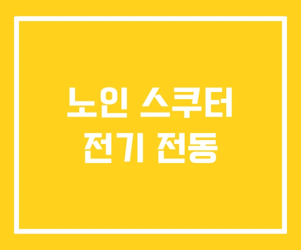 노인 스쿠터 전기 전동 노인 스쿠터 전기 전동