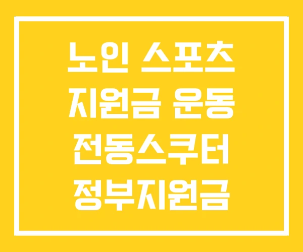 노인 스포츠 지원금 운동 전동스쿠터 정부지원금 노인 스포츠 지원금 운동 전동스쿠터 정부지원금