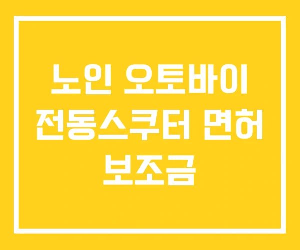 노인 오토바이 전동스쿠터 면허 보조금 노인 오토바이 전동스쿠터 면허 보조금