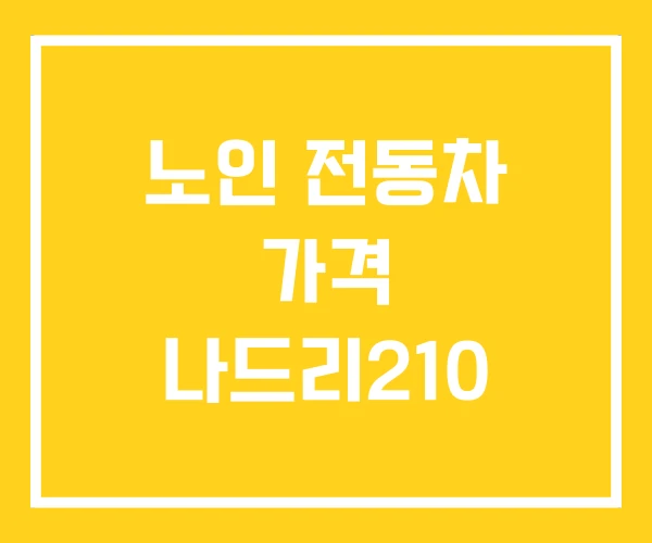 노인 전동차 가격 나드리210 노인 전동차 가격 나드리210