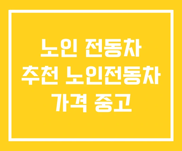 노인 전동차 추천 노인전동차 가격 중고 노인 전동차 추천 노인전동차 가격 중고