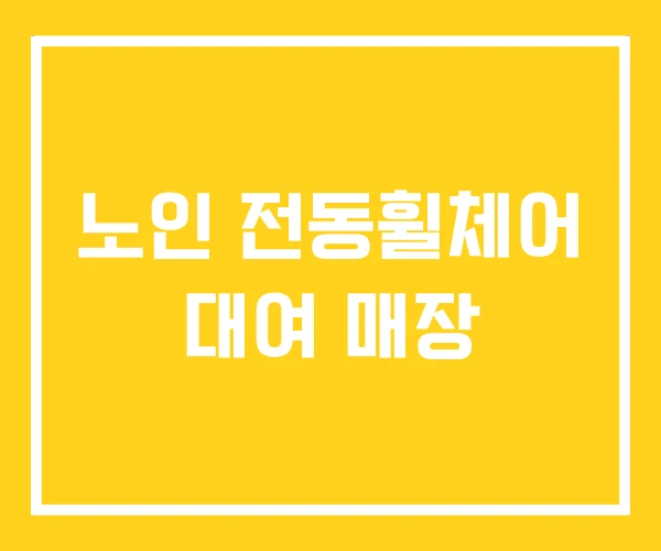 노인 전동휠체어 대여 매장 노인 전동휠체어 대여 매장