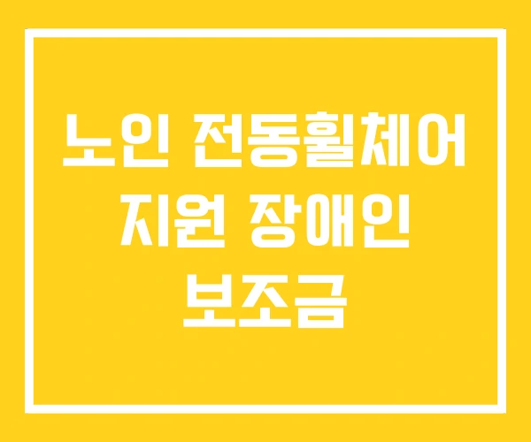노인 전동휠체어 지원 장애인 보조금 노인 전동휠체어 지원 장애인 보조금