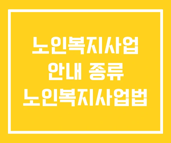 노인복지사업 안내 종류 노인복지사업법