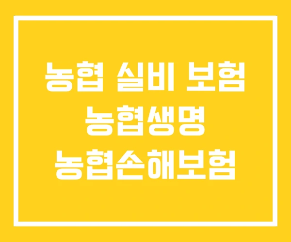 농협 실비 보험 농협생명 농협손해보험