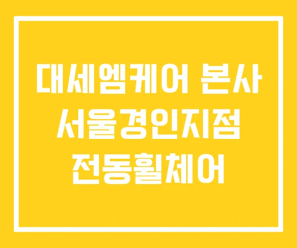 대세엠케어 본사 서울경인지점 전동휠체어
