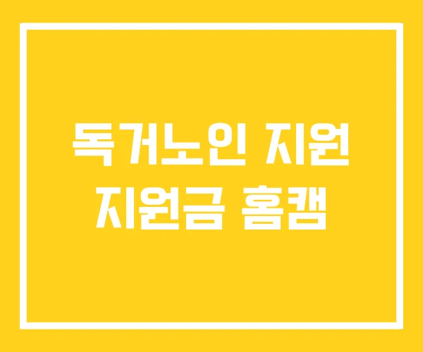 독거노인 지원 지원금 홈캠