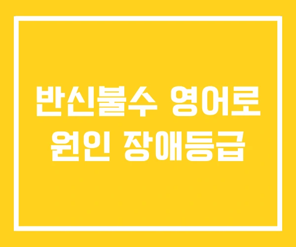 반신불수 영어로 원인 장애등급