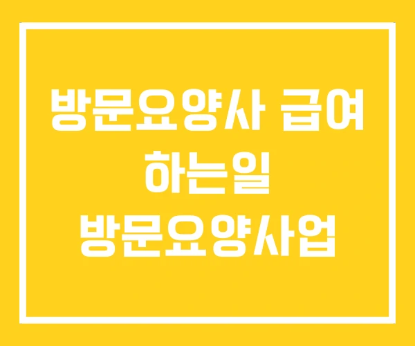 방문요양사 급여 하는일 방문요양사업