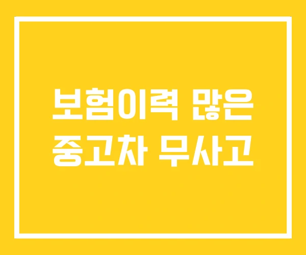 보험이력 많은 중고차 무사고