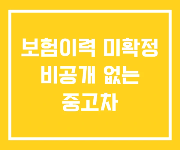 보험이력 미확정 비공개 없는 중고차