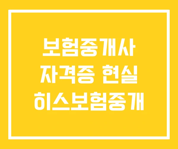보험중개사 자격증 현실 히스보험중개 보험중개사 자격증 현실 히스보험중개
