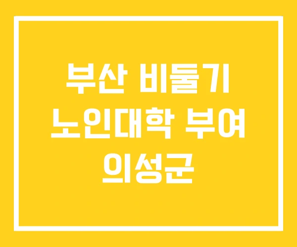 부산 비둘기 노인대학 부여 의성군 부산 비둘기 노인대학 부여 의성군