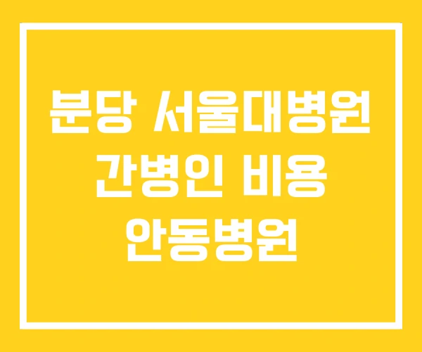 분당 서울대병원 간병인 비용 안동병원