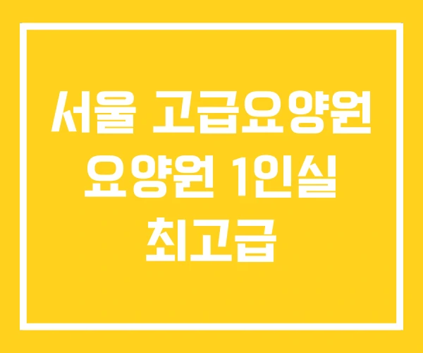 서울 고급요양원 요양원 1인실 최고급