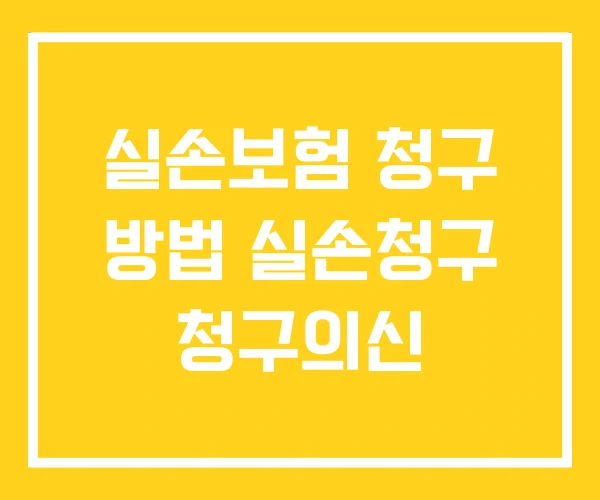 실손보험 청구 방법 실손청구 청구의신 실손보험 청구 방법 실손청구 청구의신