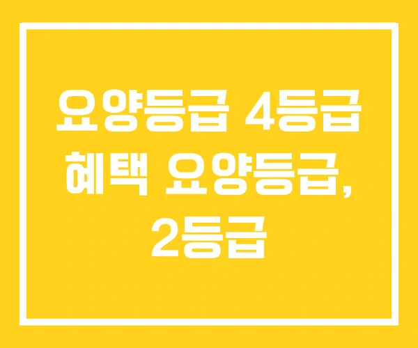 요양등급 4등급 혜택 요양등급, 2등급