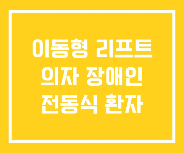 이동형 리프트 의자 장애인 전동식 환자