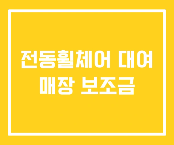 전동휠체어 대여 매장 보조금 전동휠체어 대여 매장 보조금