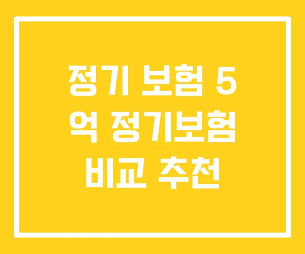 정기 보험 5 억 정기보험 비교 추천