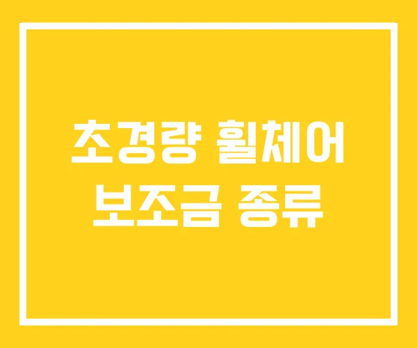 초경량 휠체어 보조금 종류 초경량 휠체어 보조금 종류